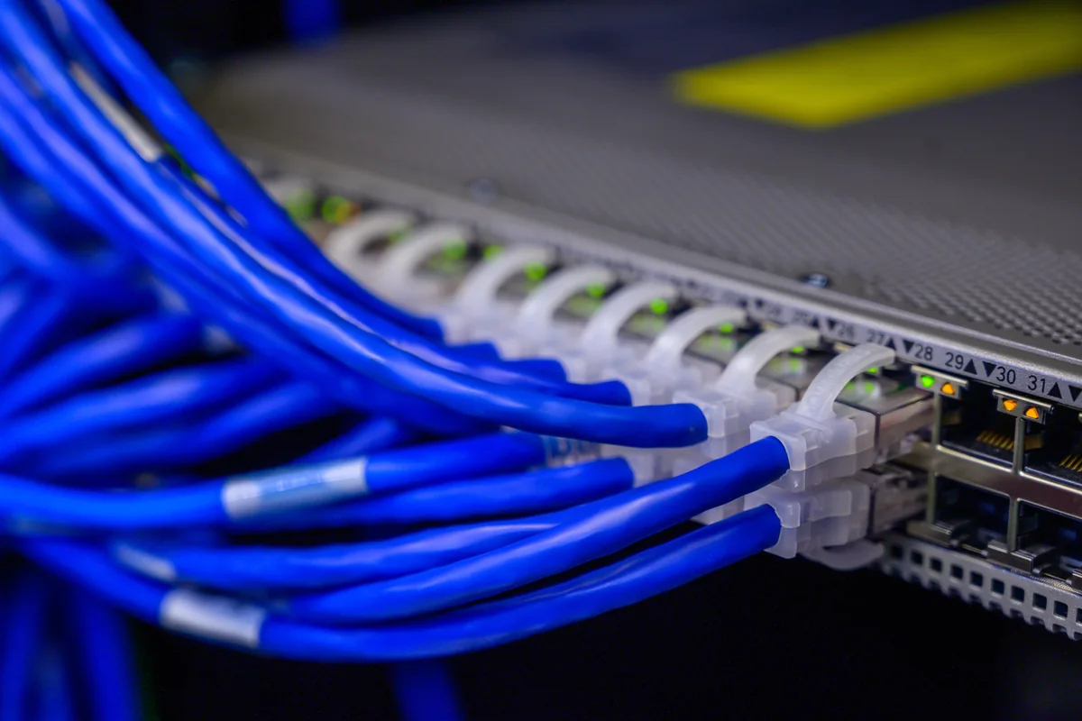 Blue network cables plugged into a row of ports on network equipment